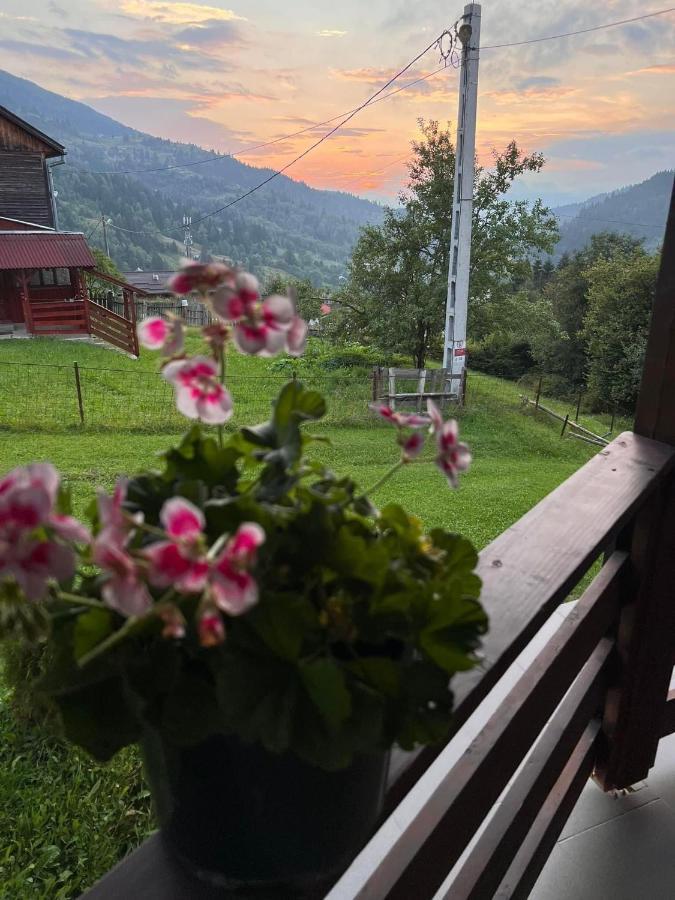 Casa Viorica Hotel Statiunea Екстериор снимка